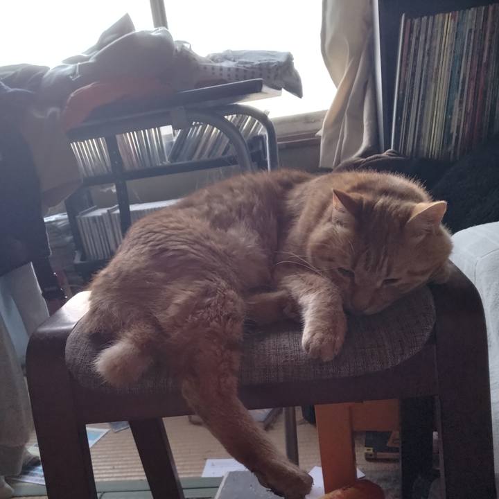 D22a6d57 67b7 4370 816e 906b26850e3d 1719180586570