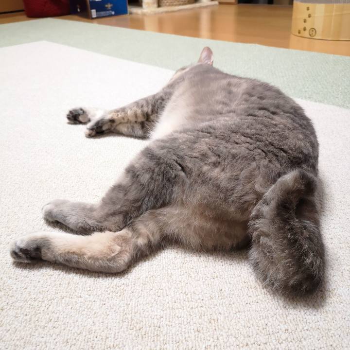 D22a8180 bdfa 4944 bb0c e1d29cfef653 1587185975651