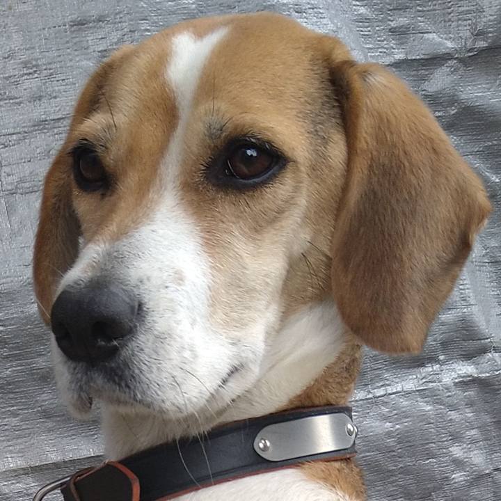 D22a8e8b cb8c 4a67 9071 540311f9aba9 1642164209262