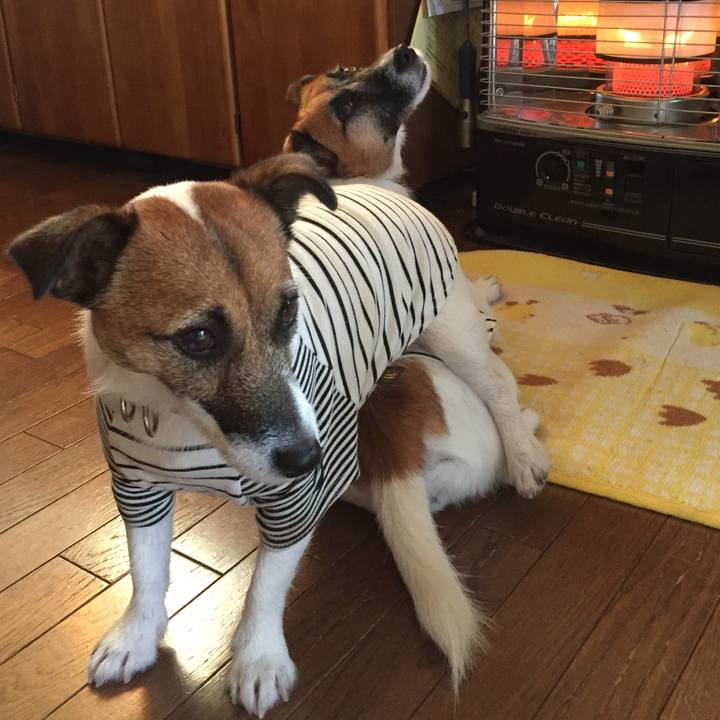 D22aa8b6 ad2a 4ba0 95ee b5e68031efd4 1542320750992