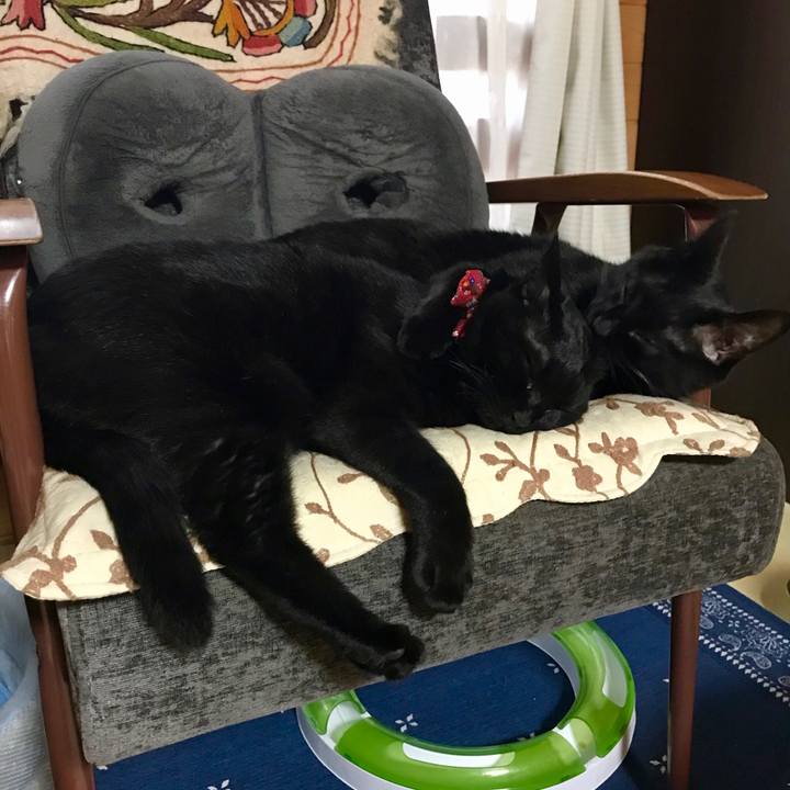 D22aa8ed e494 4e2b bdcf b1ab033df078 1528537749170