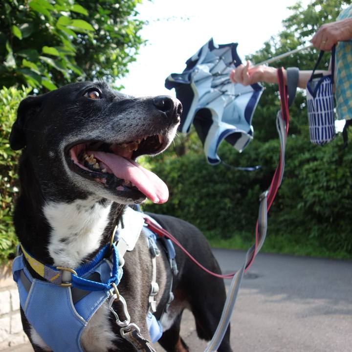 D22ab382 e74a 4950 9d24 8a634778b9bc 1752019131188