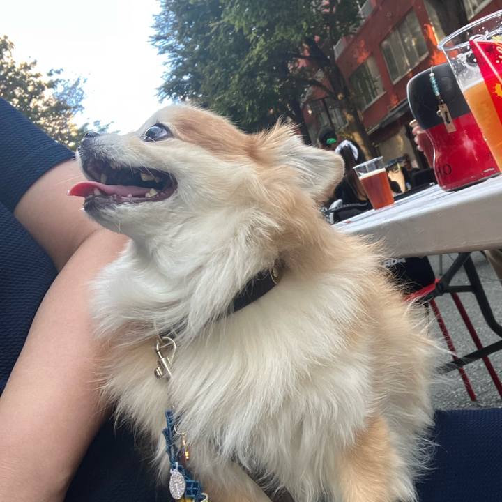 D22b01f9 8e00 4d22 b51c 972f35907842 1758983360347