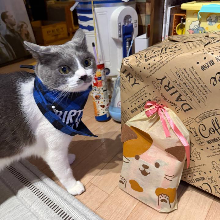 D22b2d65 2fe0 4cf0 b3bf 6e6fcd2f0d92 1766317896485