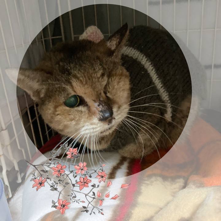 D22bac46 ae7d 4e69 b712 e87f2c29c4df 1623748108375