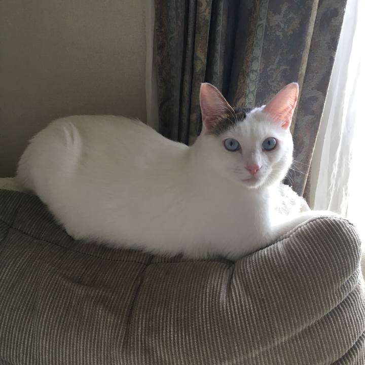 D22bba46 b782 4ed4 a658 646c7c429553 1536120696485