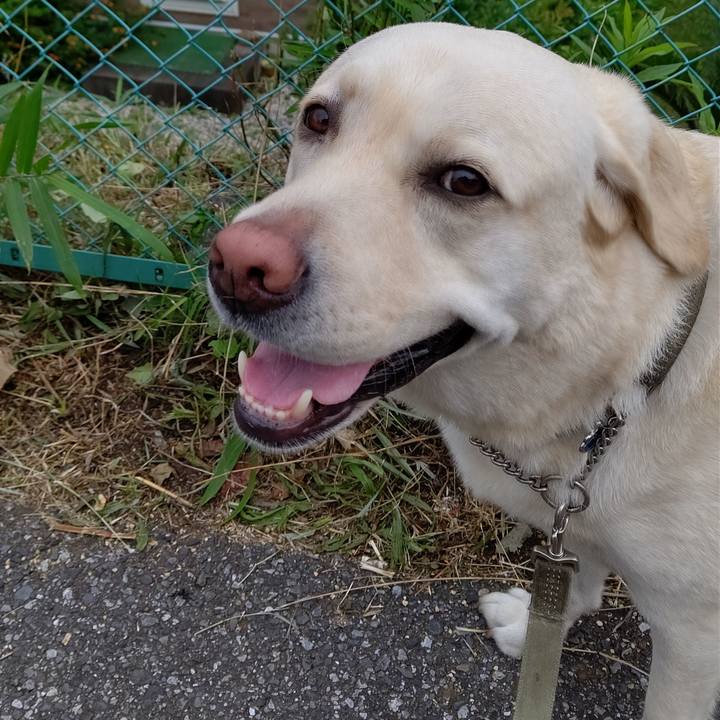 D22bbd6b 7cfb 41c4 9690 cb8d902e910e 1593499991068