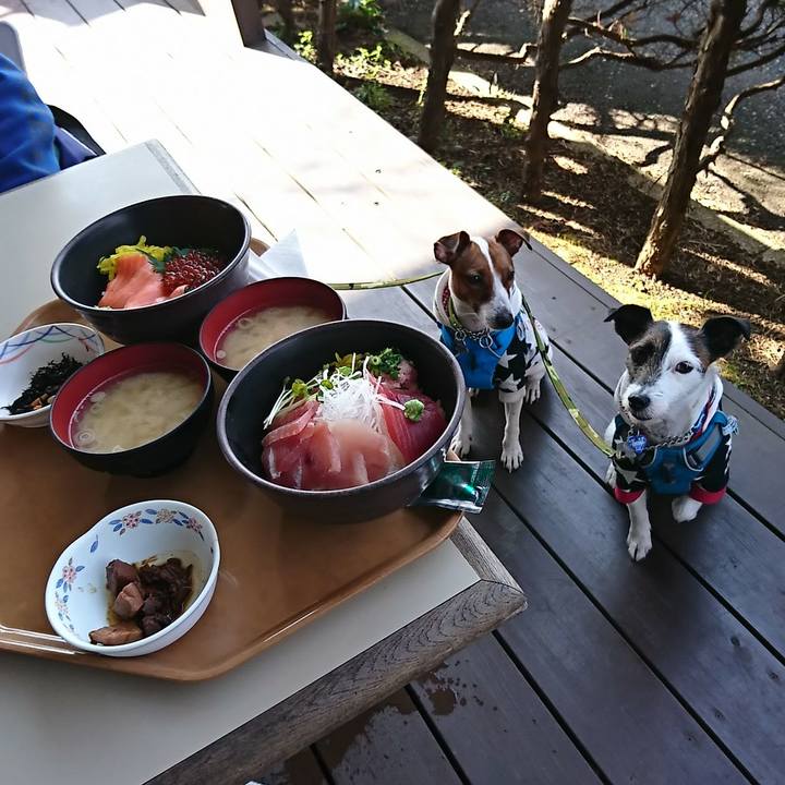 D22bc456 8506 4751 a6b5 73decb29b9ce 1550986702438