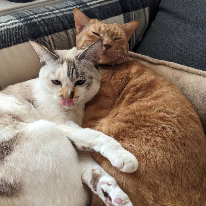 D22bd5a0 f05f 43e4 b7aa a064f25d45a4 1763456401572