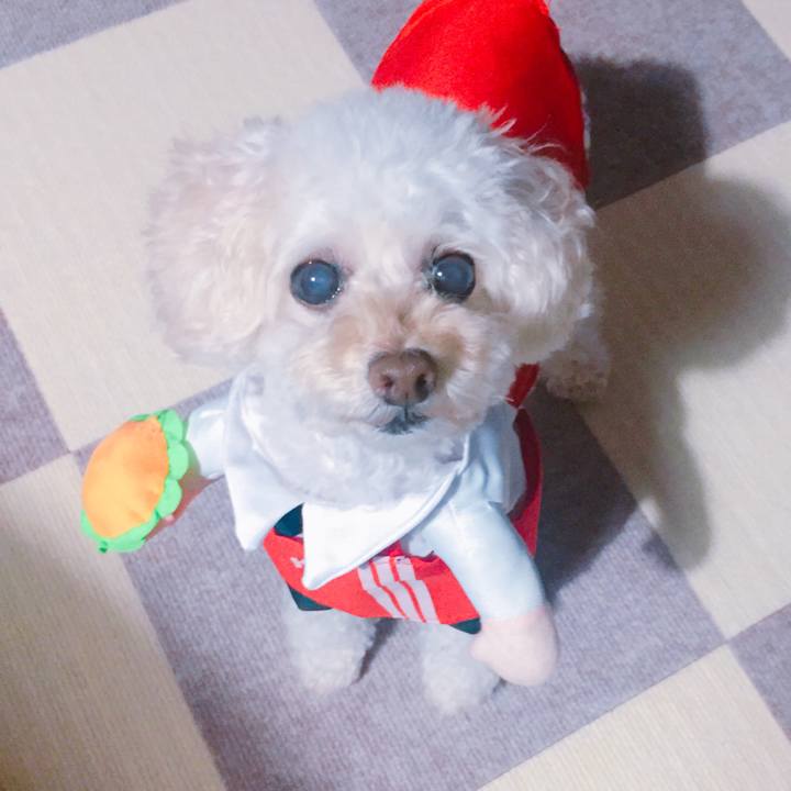 D22c0916 43f7 4e0d 9ad8 453309177e70 1535370733442