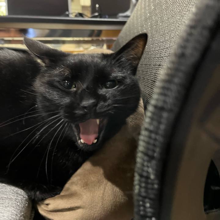 D22c1745 d7d5 4ee6 9ef4 5e058450846e 1652102654852