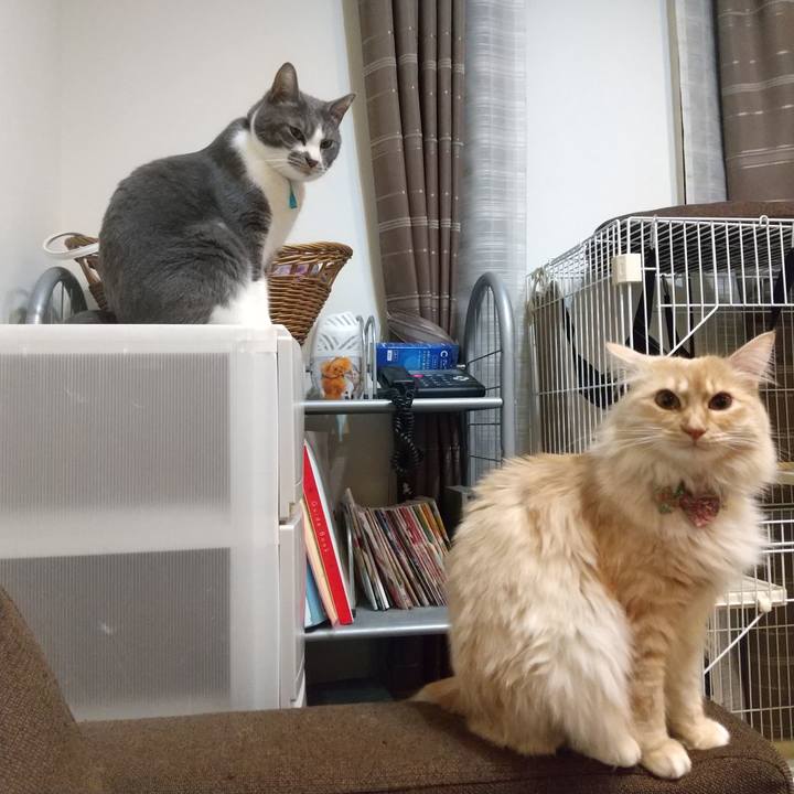 D22c2a7b 786e 48f2 92cb 5351424fba2f 1646139307564