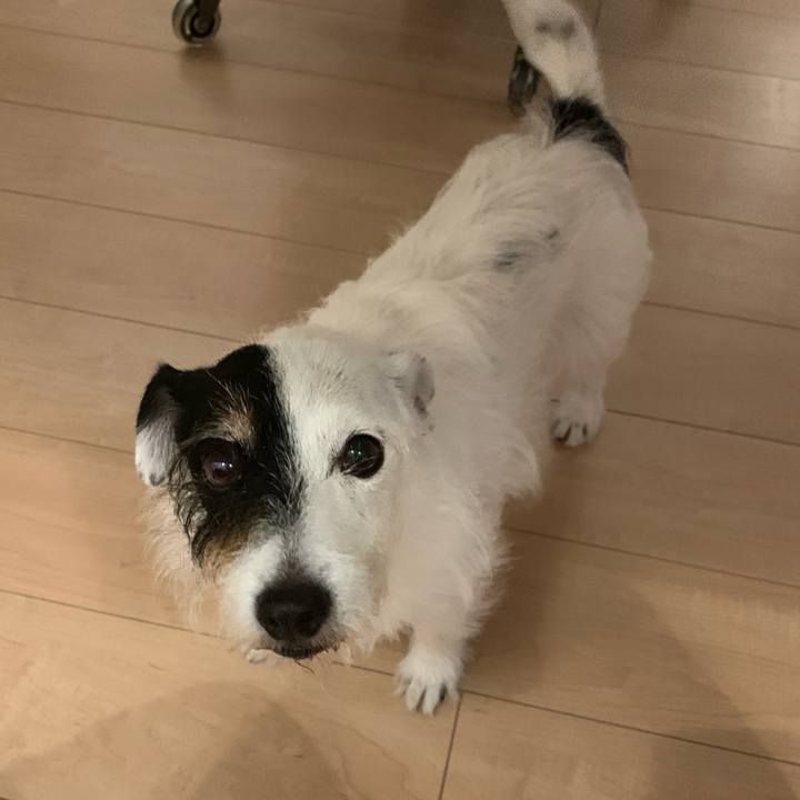 D22c48df 42d3 4af2 a10c 95fea34836d9 1721388087645