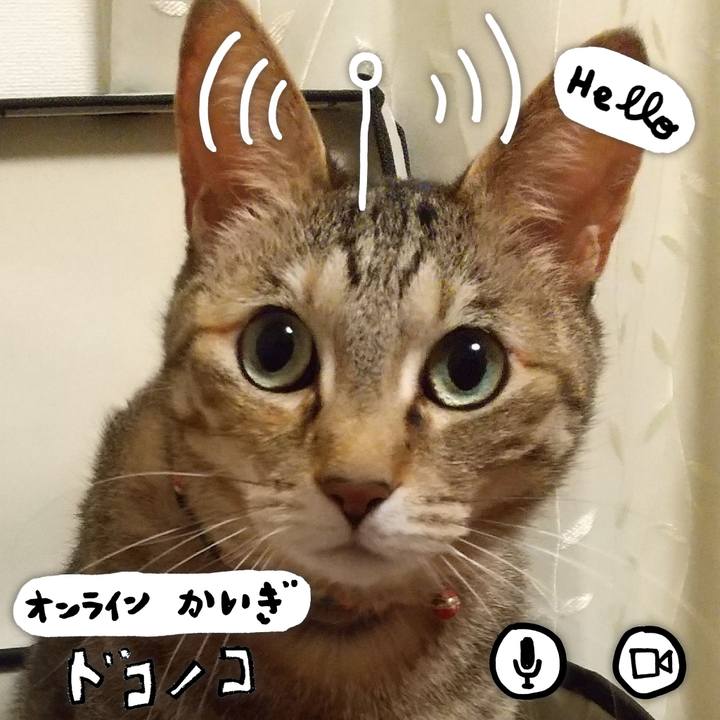D22cb96c 7bfe 4a63 a459 4bd0c11c2949 1590681682273
