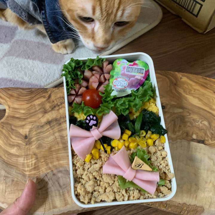 D22cd4af 49bc 4c73 9548 8e53180e04ec 1651008319270