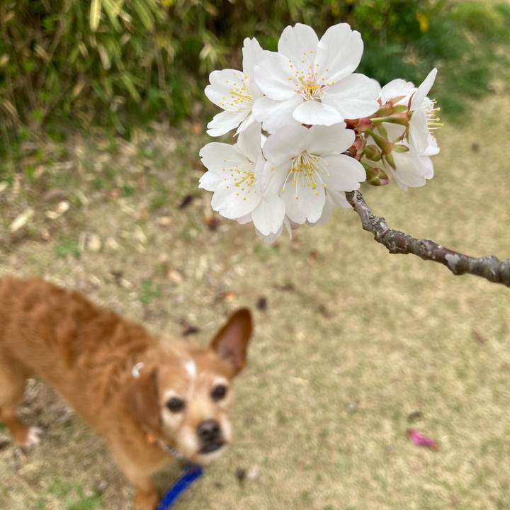 D22cdbd0 4d50 4aac 8e1c 88d9c7689e19 1648457648382