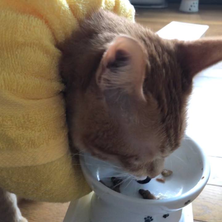 D22ce92c fde1 46de aa5e 5957030906bc 1600681751248