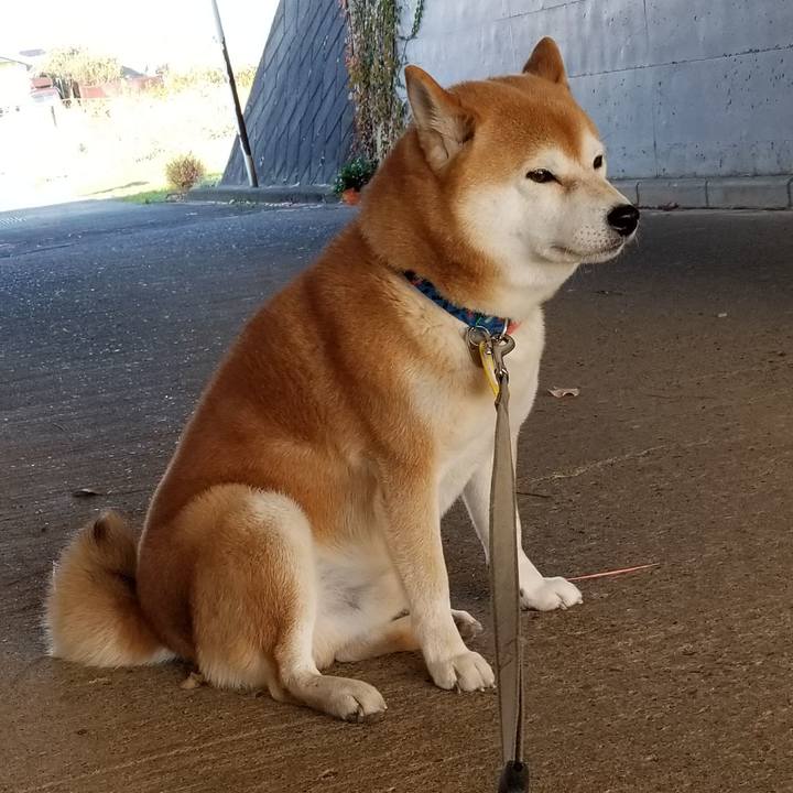 D22cf243 a10f 4d42 af82 779ea2e5659d 1541224657459