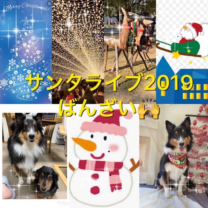 D22d034e 734c 4f9e 8c8b 58bfcd097b9a 1576968343137