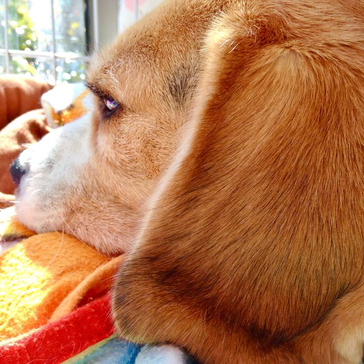 D22d2cc2 1f95 41c3 a843 c811434fe86c 1772952884501