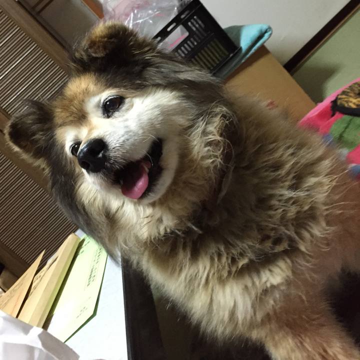 D22d3352 08b6 46a5 8777 09fe704073b6 1573513581121