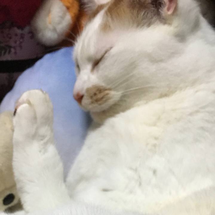 D22d5996 e5f8 4cbb 8cdd f80027e01577 1576307555192