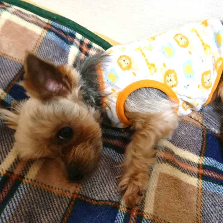 D22d6072 8187 4d0c 8daf f152bc73baac 1522069780369