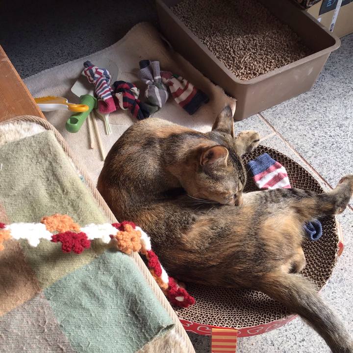 D22d820d 67df 4ac8 bb26 f7d6ad8f8de3 1576296789345