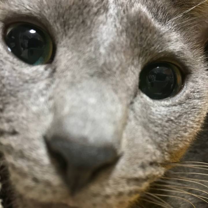 D22d8262 d79e 4d49 8d64 ec8b01464b25 1511610509977