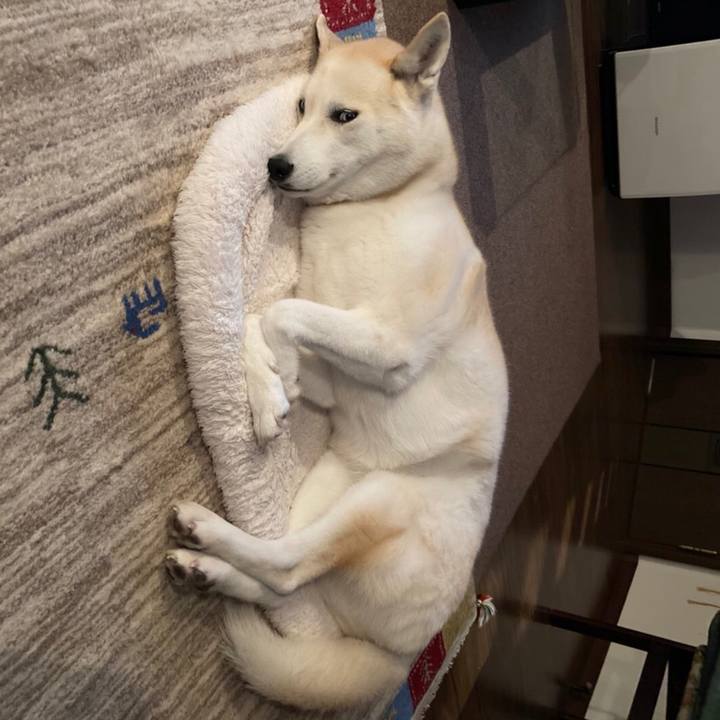 D22d9914 eed5 4c10 b1aa 24b68fe821db 1639922781962