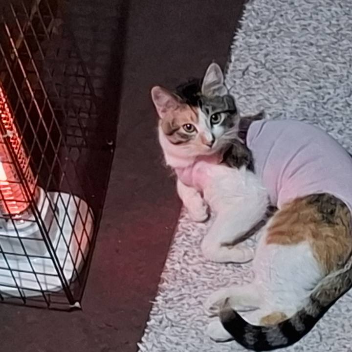 D22da394 78b0 4c2b b891 892e80a46f45 1770017313143