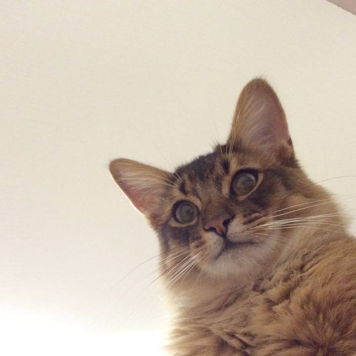 D22db387 9285 4266 9031 43796cb71499 1589889521775