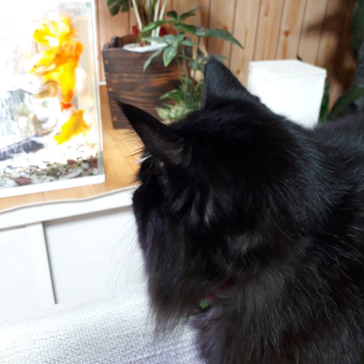 D22e0b25 2a7a 4d3b 86d0 7734779bb4dd 1518898999831