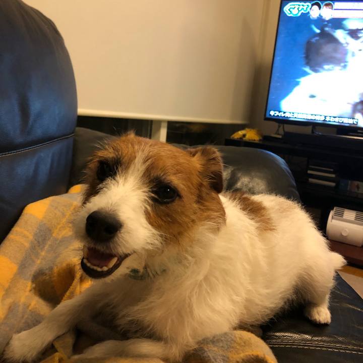 D22e19a8 a02a 43d7 a952 9fecb268961d 1573125674204