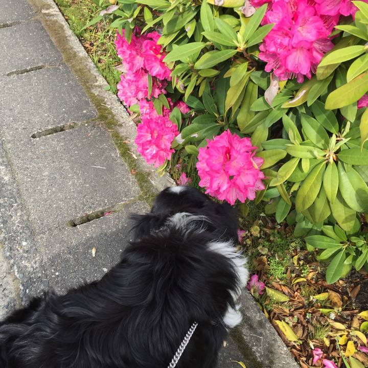 D22e304f a06b 4bb4 a2b9 ff083d78f57f 1555376073948