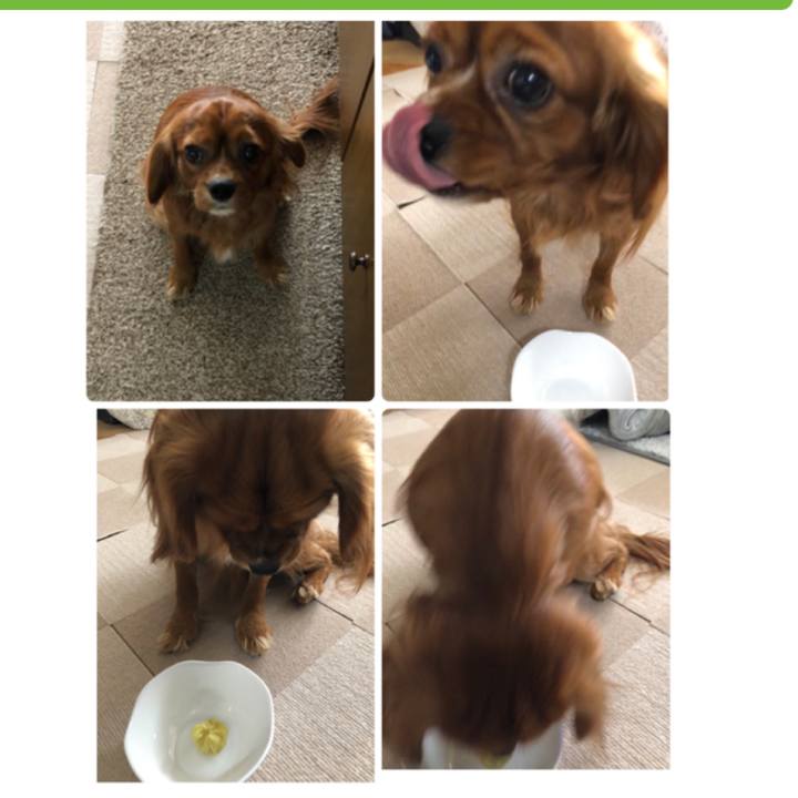 D22e3352 79c8 455c 97d9 14f4a9e912ce 1546223403100