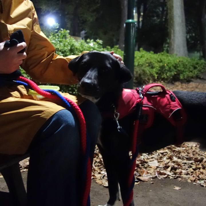 D22e6d1b c4c3 4cca b1d5 ef0a1585810b 1586179292207