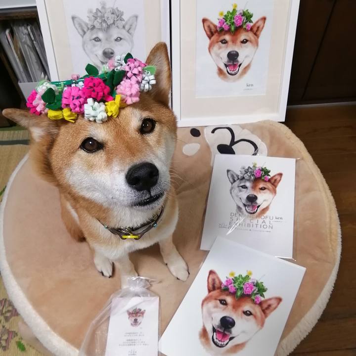 D22ea4bf 6d72 43e6 b0d2 a5ed9a1e1d9f 1628339873659