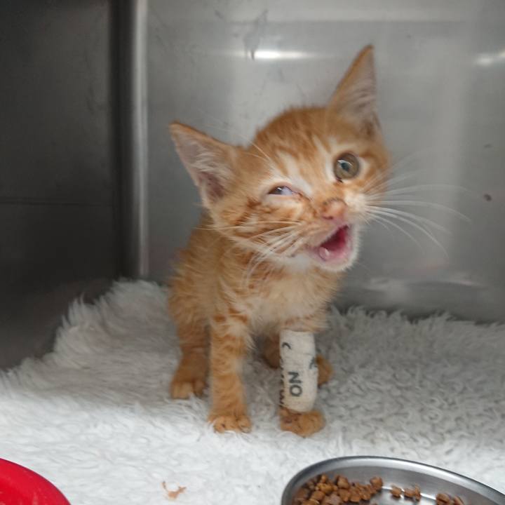 D22ec282 f32b 4f58 ab2c a8e05ac64ce0 1627706915553