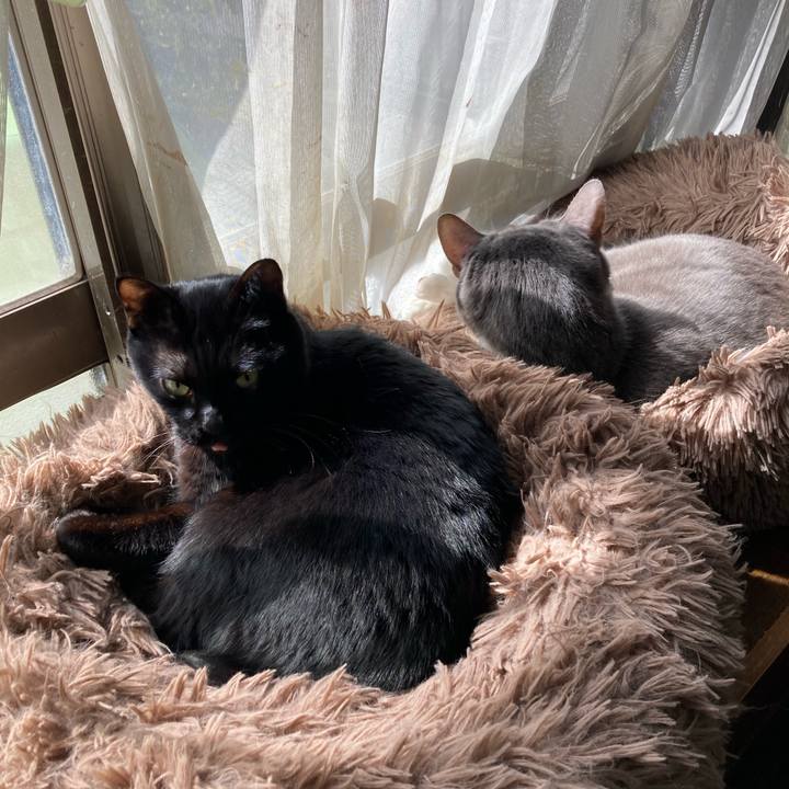 D22ecf6c 6ba2 4c28 91aa f2d3013202e7 1741949959654