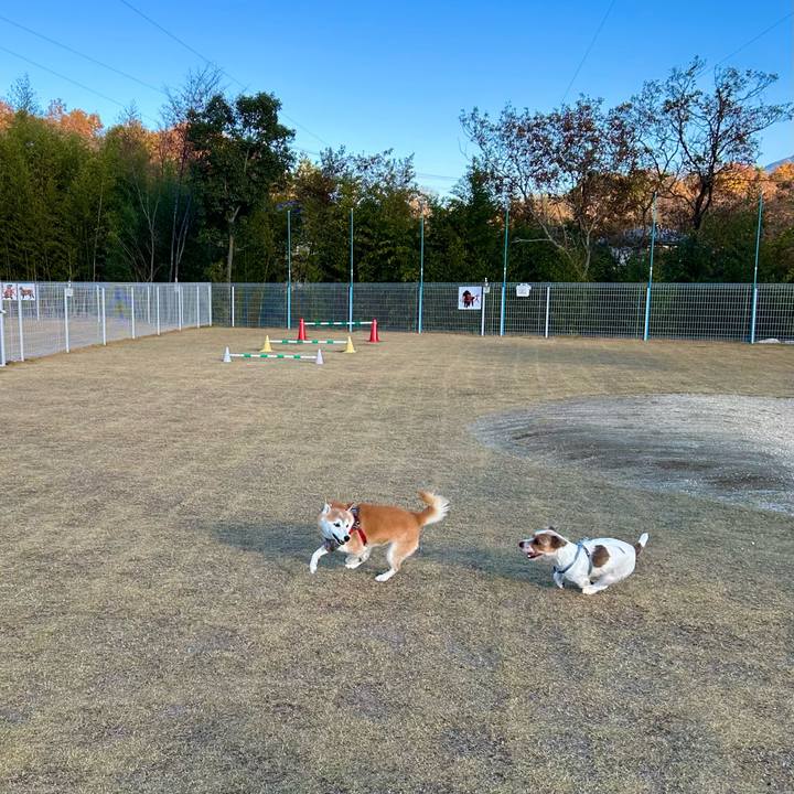 D22edfed b386 4187 9eaf d7e29fd28716 1733310412892