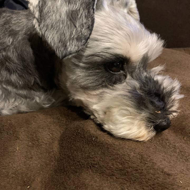 D22ef1df afee 4ea4 baf9 95ee26502751 1619784896044