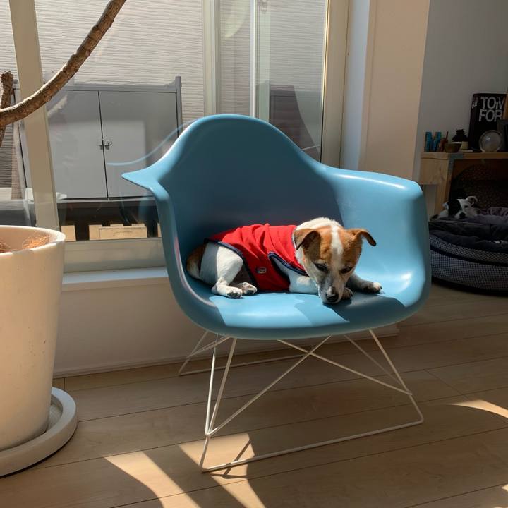 D22f0a2c 056a 4b0f 9463 e66aa73fbbc1 1623736493710