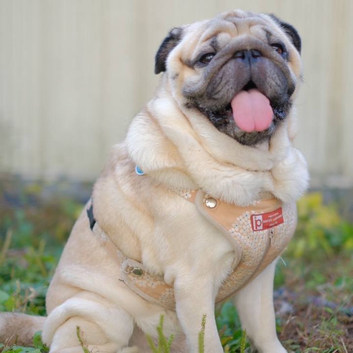 D22f0ee4 0833 4050 9992 0b8a9298460c 1730951605621