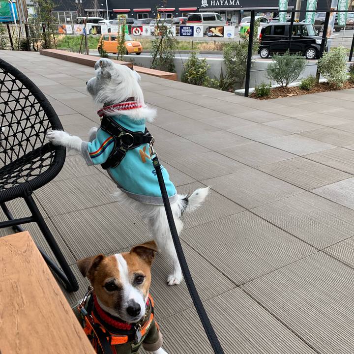 D22f4d65 f84f 4f19 b7b8 2b40dca36d1c 1552712220617