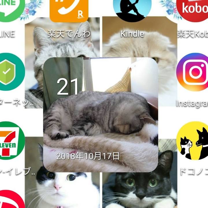 D22f7708 f6be 4534 90e4 08dd023fbf14 1634772572044