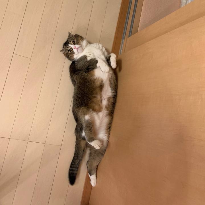 D22fd088 811a 4b03 b761 9511945f8722 1566745452737