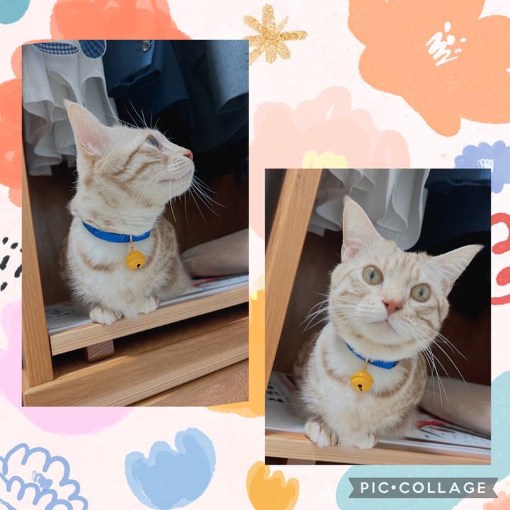 D22fd6fd bf27 4e6e 85c3 2a5dec842c41 1677752874742