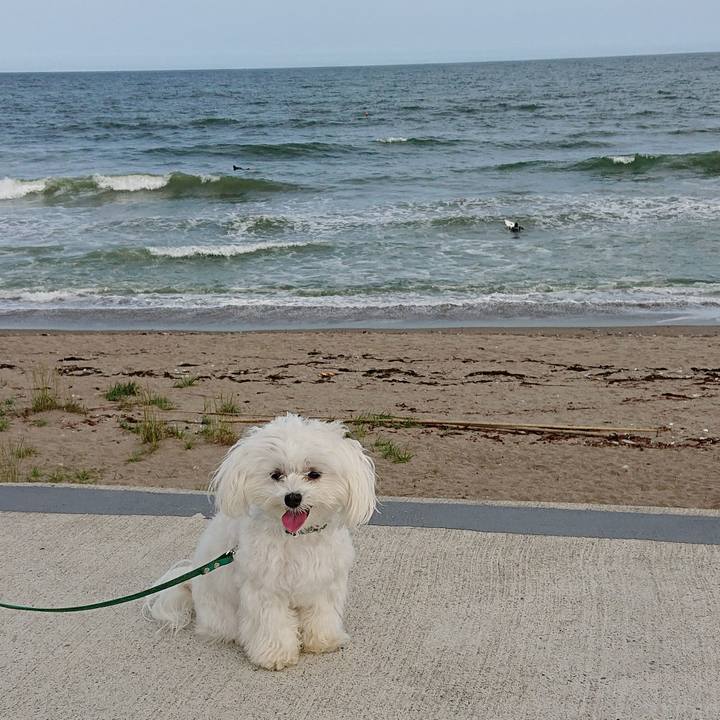 D22fdd89 3b8b 41bf 84fb 460aa611e2cd 1590321327122