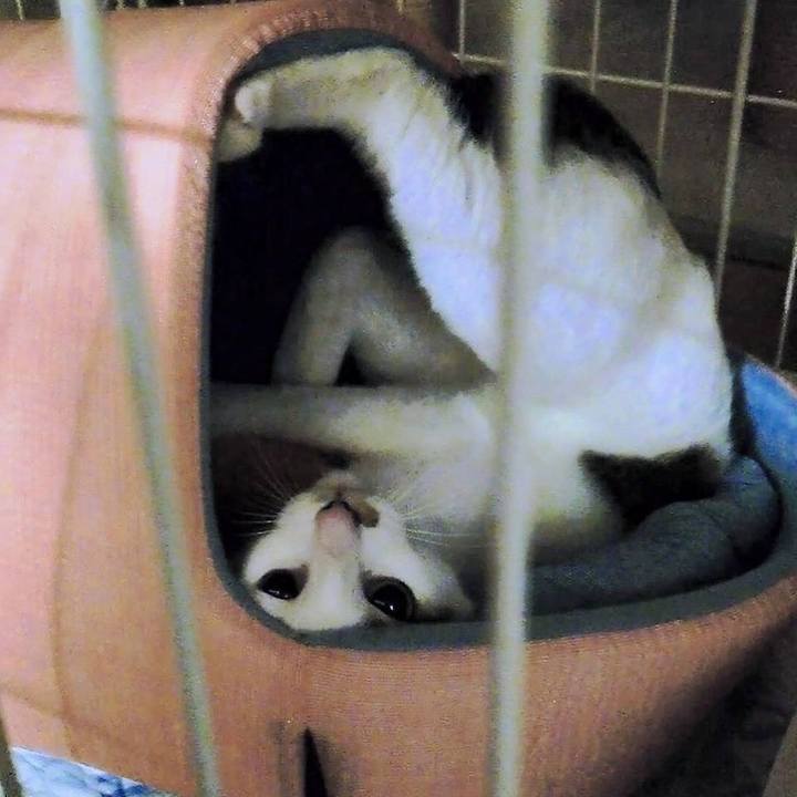 D22fe9d6 e97d 43da a6a0 61c29e18f08c 1690162787135